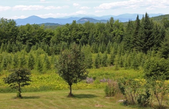Denmark, NH Homes for Sale Denmark, NH Real Estate & Homes for Sale