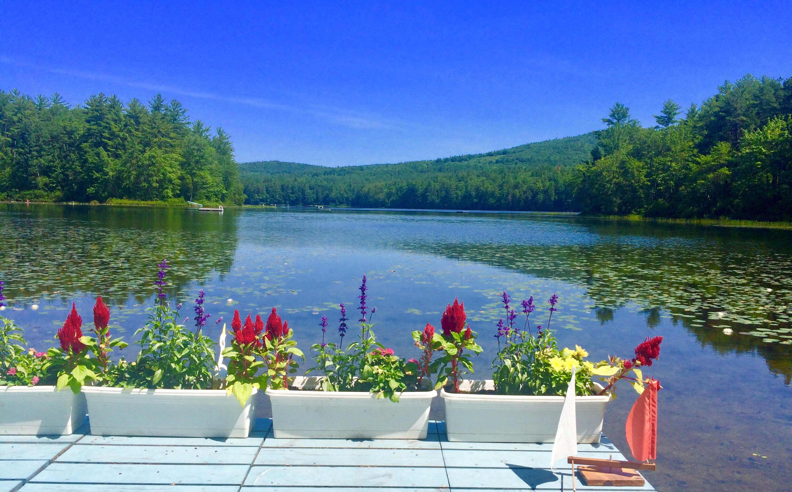 Freedom, NH Homes for Sale Freedom, NH Real Estate & Homes for Sale
