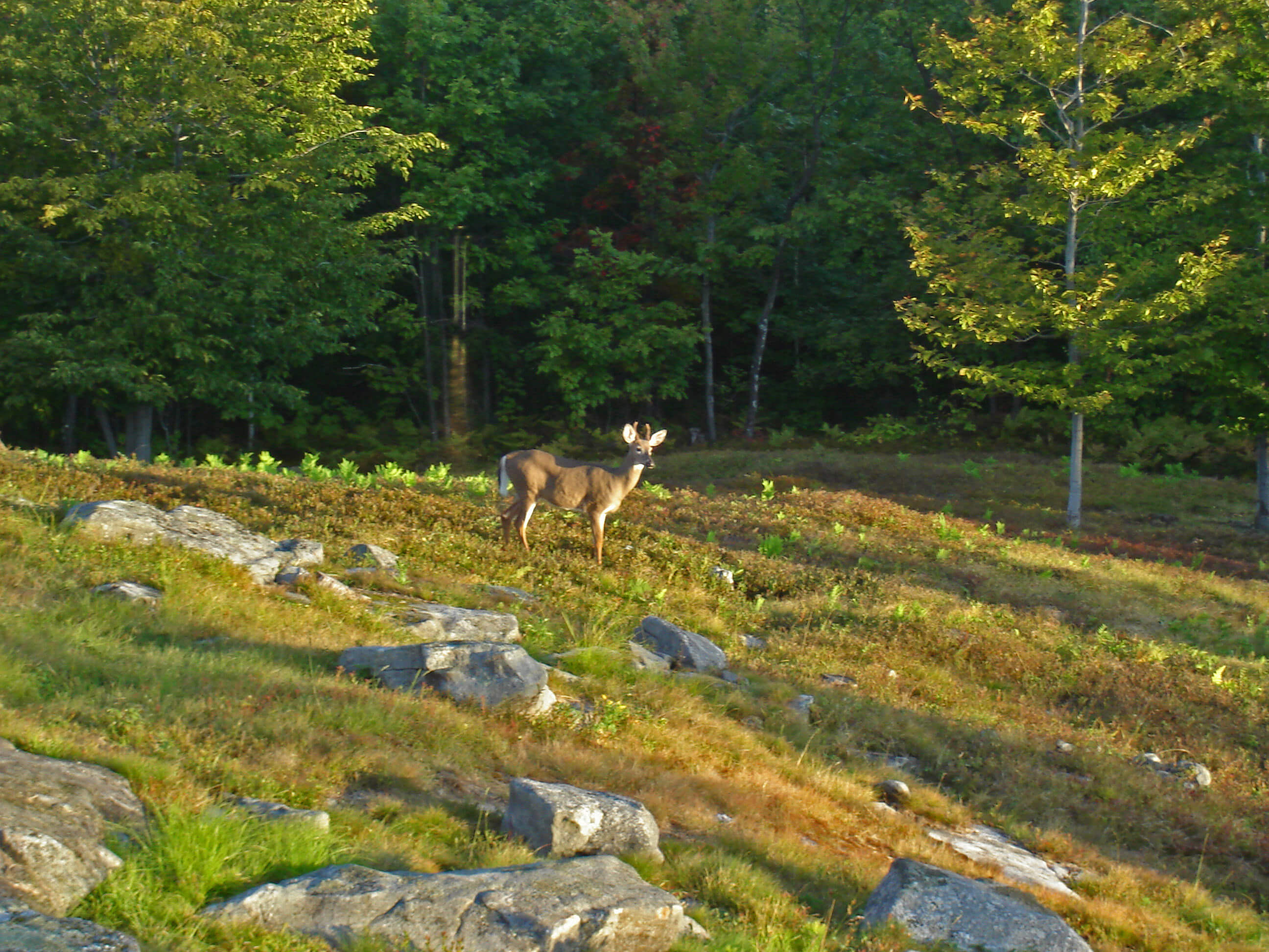Hiram, ME Homes for Sale Hiram, ME Real Estate & Homes for Sale